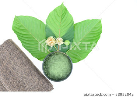 mitragynine on white background isolated. 58932042