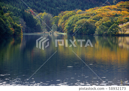 俊濕沼澤秋天(秋田縣) 俊濕沼澤秋天(秋田縣) 58932173