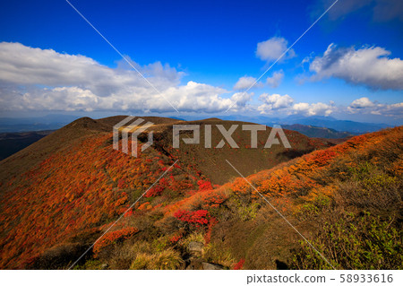 《大分縣九州山脈》大船山嶺上的秋葉 58933616