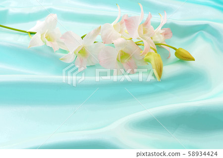 Beautiful flowers Beautiful flowers 58934424
