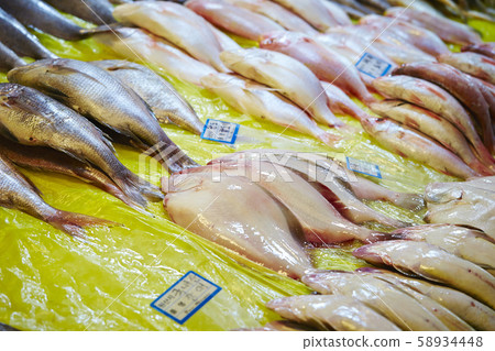 魚市場 58934448