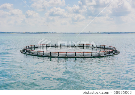 Aquaculture preserve Aquaculture preserve 58935003