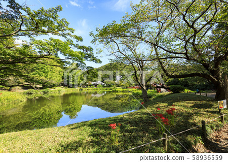 Famous temple (autumn) Famous temple (autumn) 58936559