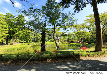 著名的寺廟（秋天） 58936560