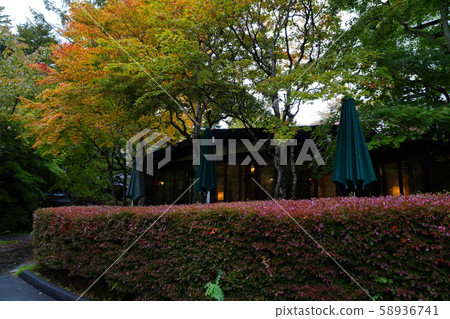 The arrival of autumn leaves 58936741