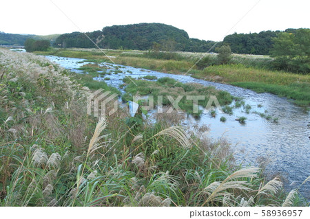 上游的Abukuma河(福島縣西石川郡西鄉村) 上游的Abukuma河(福島縣西石川郡西鄉村) 58936957