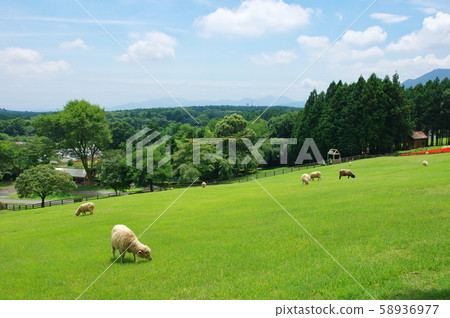 Ranch with sheep Ranch with sheep 58936977