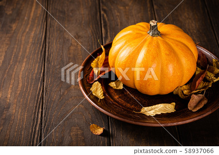 Autumn pumpkin thanksgiving background 58937066