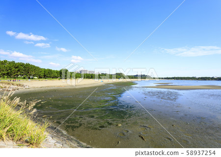 海上公園(秋天) 海上公園(秋天) 58937254