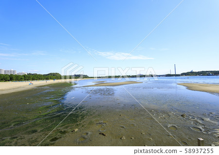 海上公園(秋天) 海上公園(秋天) 58937255