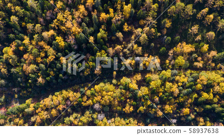 Top view of the taiga forest, river, road . The vast expanses of Eastern Siberia. far East Russia 58937638