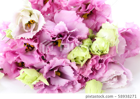 Bouquet of Turkey fennel 58938271