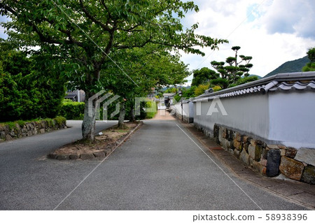 A magnificent white birch that surrounds Yamaguchi, Sakai, Sakai city sightseeing, Horiuchi Denken district, and Kuchiha family residence (1) 58938396