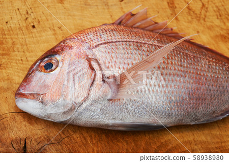 天然正宗日本料理 58938980