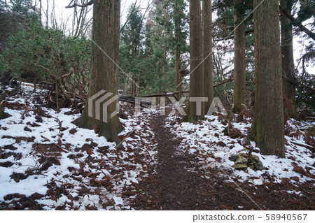 一條山路,周圍積雪,道路被倒下的樹木阻擋。 一條山路,周圍積雪,道路被倒下的樹木阻擋。 58940567