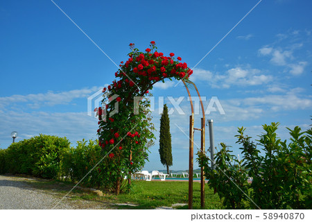 風水清新。 58940870