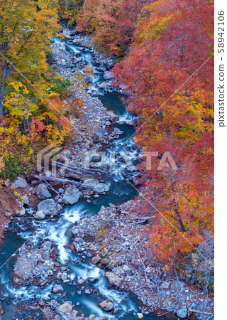 Aerial Autumn Forest River Japan 58942106
