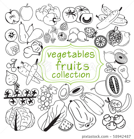 collection of doodle organic fruits and vegetables collection of doodle organic fruits and vegetables 58942487