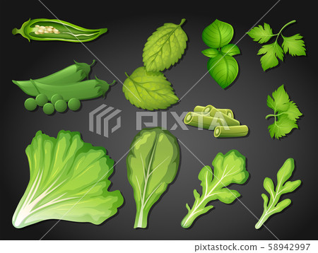 A Set of Fresh Green Vegetable 58942997