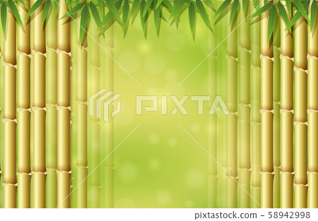 Green Bamboo in Nature Template 58942998