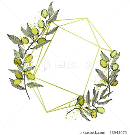 Olive tree in a vector style isolated. Green engraved ink art. 58943073