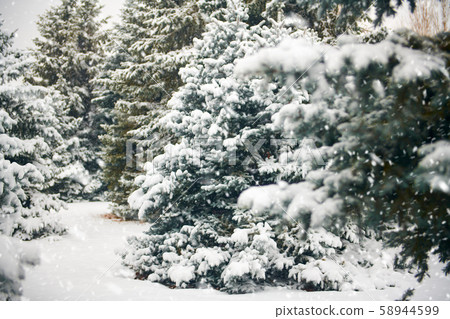 Beautiful winter landscape with snow covered trees Beautiful winter landscape with snow covered trees 58944599