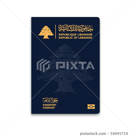 Realistic 3d Passport 58945719