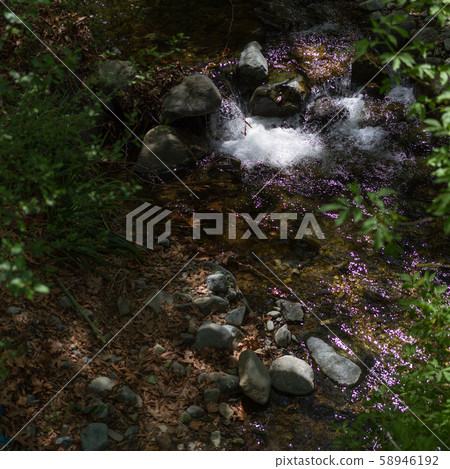 Water Stream in Tris Elies, Troodos mountains Water Stream in Tris Elies, Troodos mountains 58946192