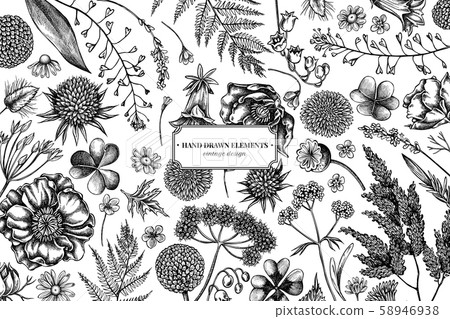 Floral design with black and white shepherd's purse, heather, fern, wild garlic, clover Floral design with black and white shepherd's purse, heather, fern, wild garlic, clover 58946938
