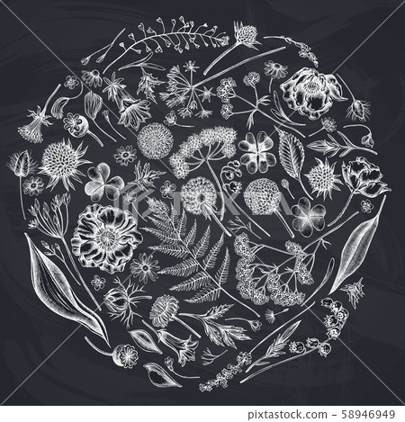 Round design with chalk shepherd's purse, heather, fern, wild garlic, clover, globethistle, gentiana 58946949