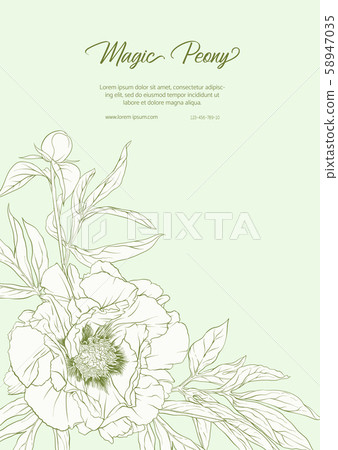 White Peony. Template for wedding invitation, White Peony. Template for wedding invitation, 58947035