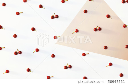 Collection of small red berries Collection of small red berries 58947531