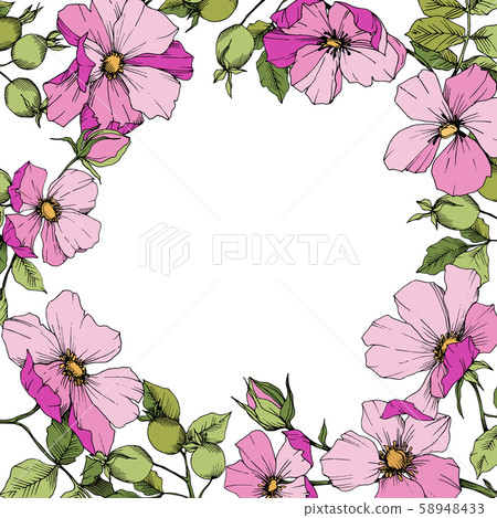 Wildflower rosa canina in a vector style isolated. Frame border ornament square. 58948433