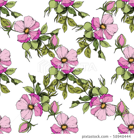 Wildflower rosa canina in a vector style isolated. Green and pink engraved ink art. 58948444