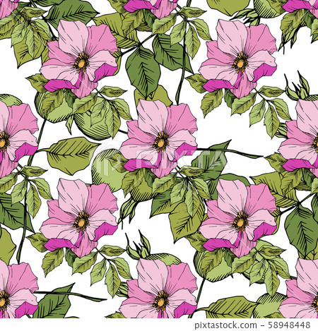 Wildflower rosa canina in a vector style isolated. Green and pink engraved ink art. Wildflower rosa canina in a vector style isolated. Green and pink engraved ink art. 58948448