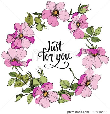 Wildflower rosa canina in a vector style isolated. Frame border ornament square. Wildflower rosa canina in a vector style isolated. Frame border ornament square. 58948450