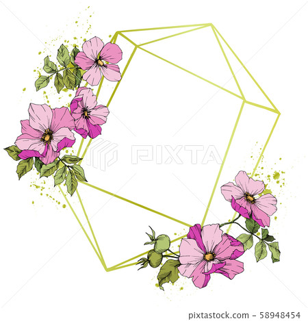 Wildflower rosa canina in a vector style isolated. Pink engraved ink art. Wildflower rosa canina in a vector style isolated. Pink engraved ink art. 58948454