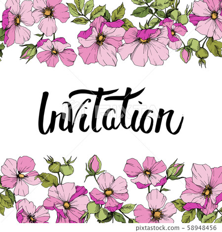 Wildflower rosa canina in a vector style isolated. Frame border ornament square. Wildflower rosa canina in a vector style isolated. Frame border ornament square. 58948456