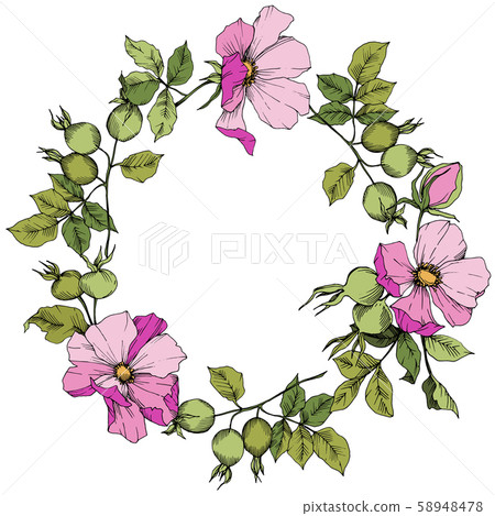 Wildflower rosa canina in a vector style isolated. Frame border ornament square. Wildflower rosa canina in a vector style isolated. Frame border ornament square. 58948478