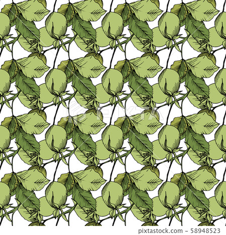 Wildflower rosa canina in a vector style isolated. Green engraved ink art. 58948523