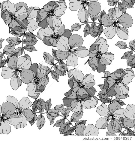 Wildflower rosa canina in a vector style isolated. Black and white engraved ink art. 58948597