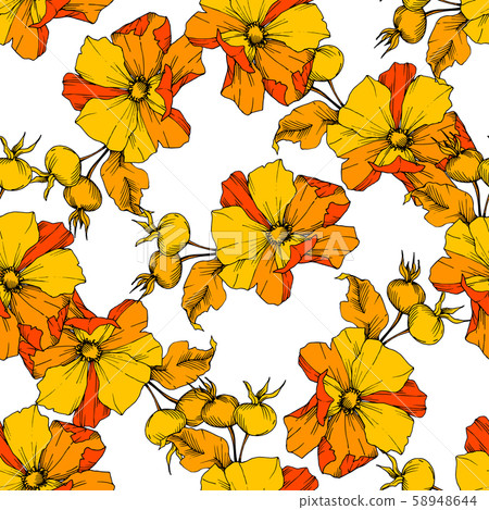 Wildflower rosa canina in a vector style isolated. Yellow engraved ink art. Wildflower rosa canina in a vector style isolated. Yellow engraved ink art. 58948644