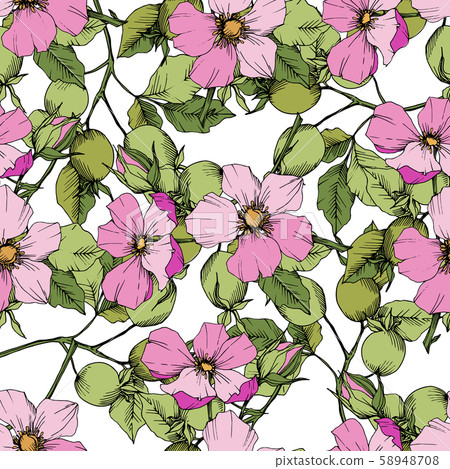 Wildflower rosa canina in a vector style isolated. Green and pink engraved ink art. Wildflower rosa canina in a vector style isolated. Green and pink engraved ink art. 58948708