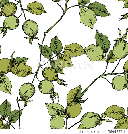 Wildflower rosa canina in a vector style isolated. Green engraved ink art. Wildflower rosa canina in a vector style isolated. Green engraved ink art. 58948714