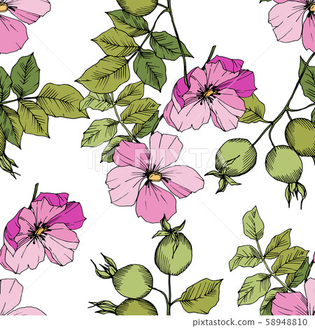 Wildflower rosa canina in a vector style isolated. Green and pink engraved ink art. 58948810