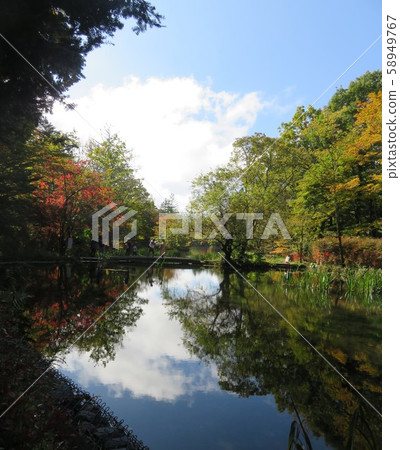 長野縣輕井澤Kumoba池塘 長野縣輕井澤Kumoba池塘 58949767