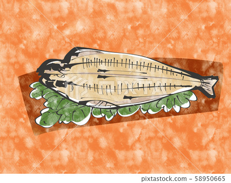 Hokke dried fish watercolor 58950665