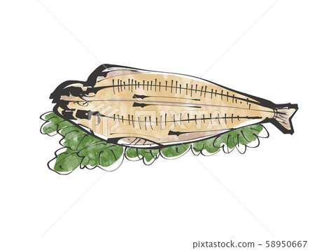 Hokke dried fish watercolor material Hokke dried fish watercolor material 58950667