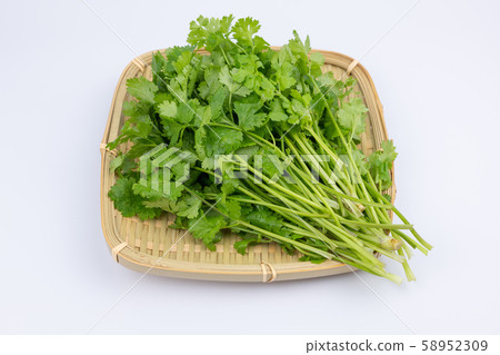 Freshly picked pacchi Freshly picked pacchi 58952309