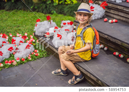 Boy at a market in Ubud, Bali. Typical souvenir shop selling souvenirs and handicrafts of Bali at Boy at a market in Ubud, Bali. Typical souvenir shop selling souvenirs and handicrafts of Bali at 58954753